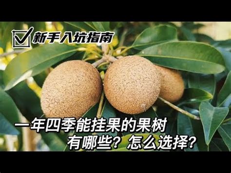 北部適合種什麼水果|108種北部適合種的水果樹指南：讓您輕鬆實現果園夢。